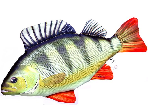 Рыбка окунь