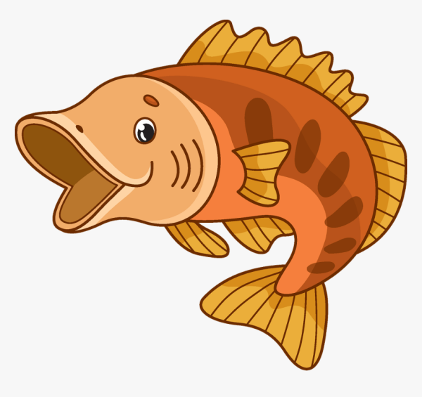 Рыба окунь клипарт