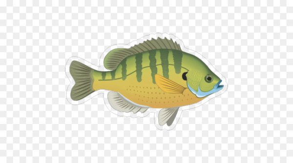 Рыба окунь для детей