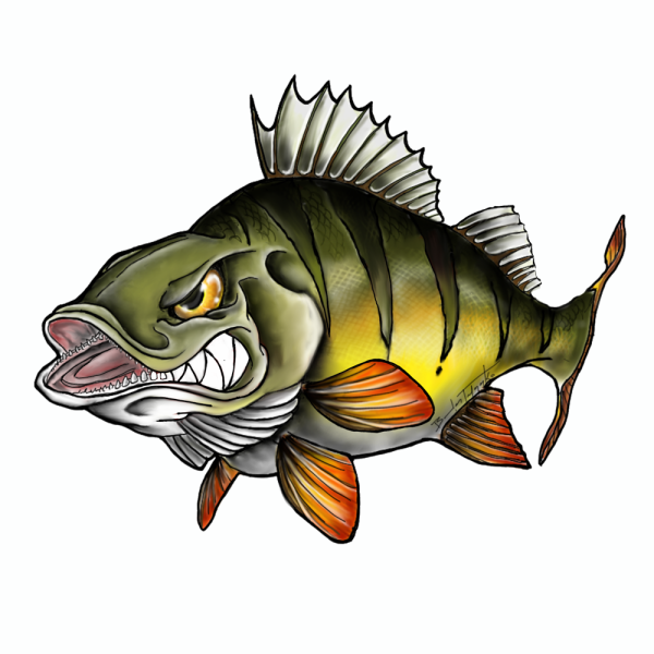 Наклейка окунь