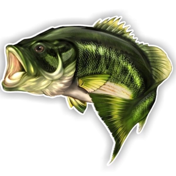 Рыба с открытым ртом вектор