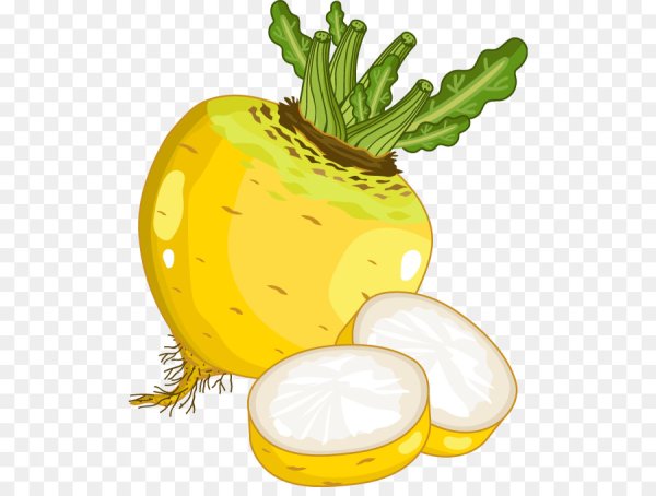 Редька мультяшная