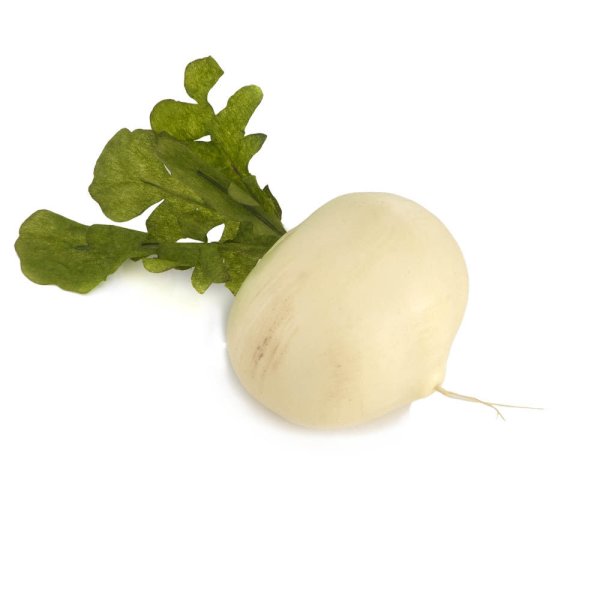 Брюква белая