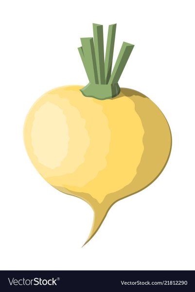 Репа вектор