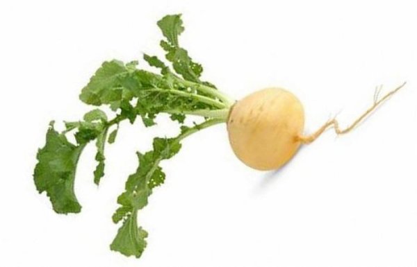 Репа с ботвой