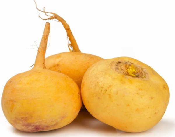 Репа корнеплод