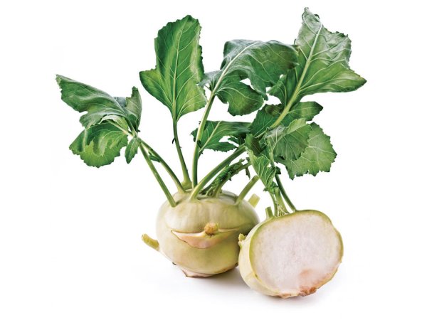 Капуста кольраби 1 кг