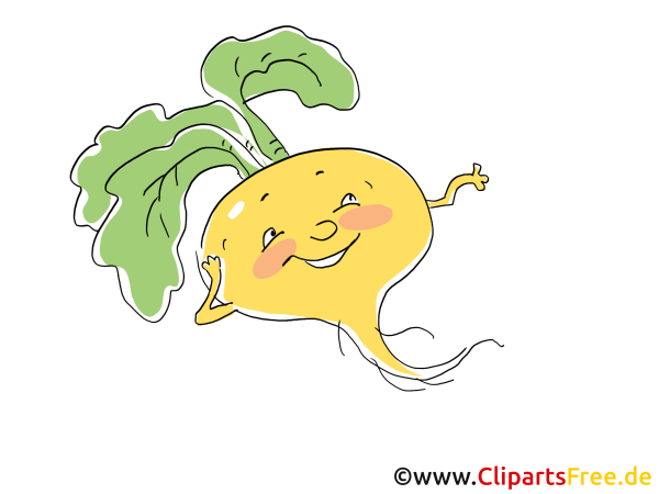 Репа на прозрачном фоне