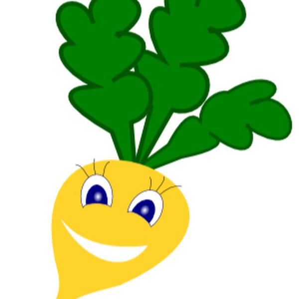 Репка овощ для детей