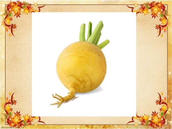 Карточки овощи репа