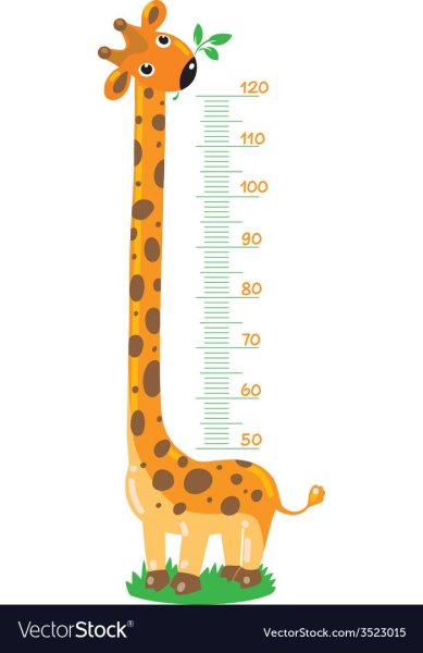 Метр для детей