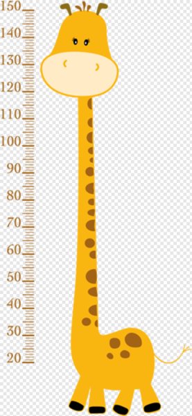 Линейка роста для детей