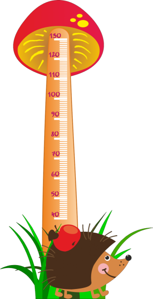 Ростомер в садик