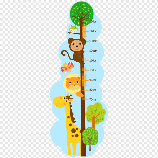 Измеритель роста для детей