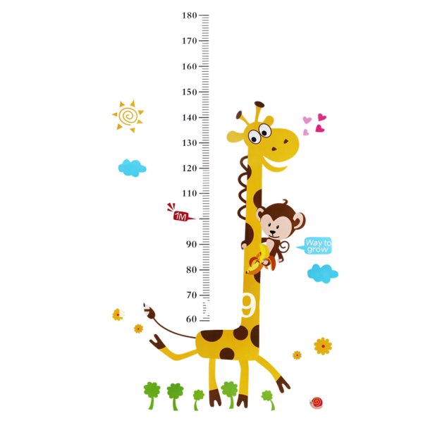 Ростомер детский на прозрачном фоне