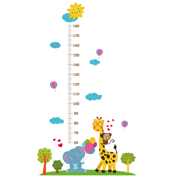 Линейка ростомер