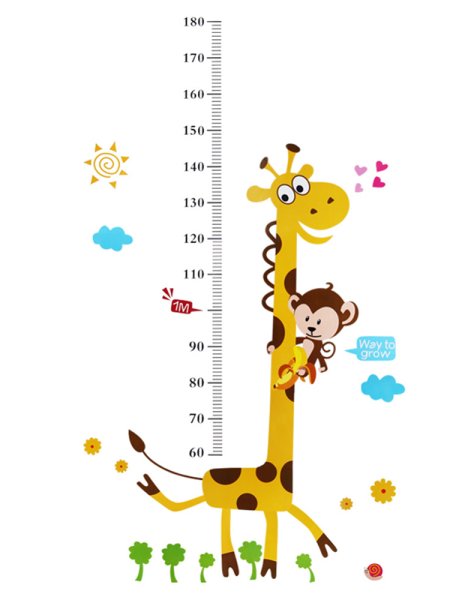 Ростомер детский на прозрачном фоне