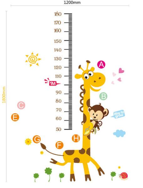 Линейка роста для детей