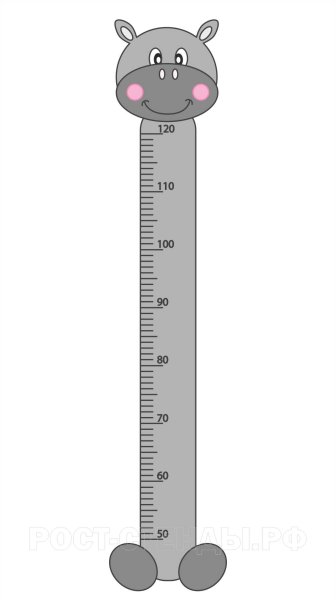 Линейка ростомер