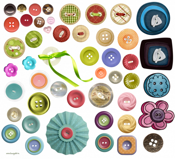 Пуговица на белом фоне