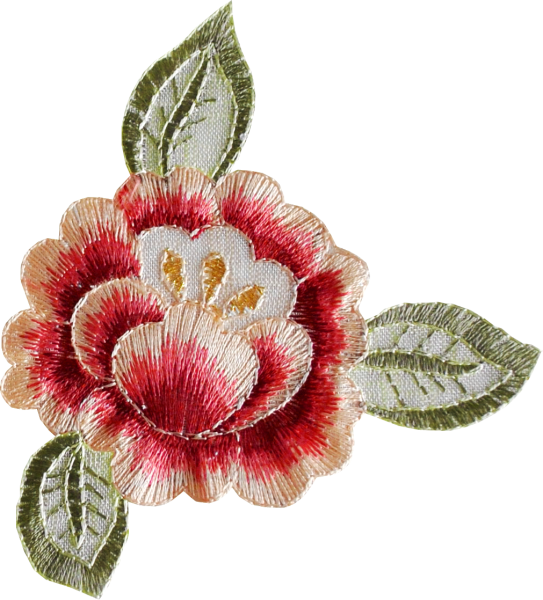 Вышивка гладью на прозрачном фоне