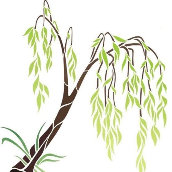 Ветка плакучей ивы