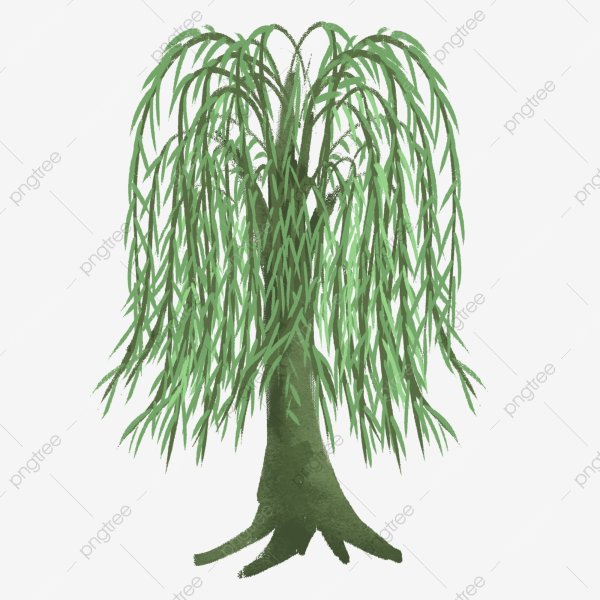 Ивушка вектор