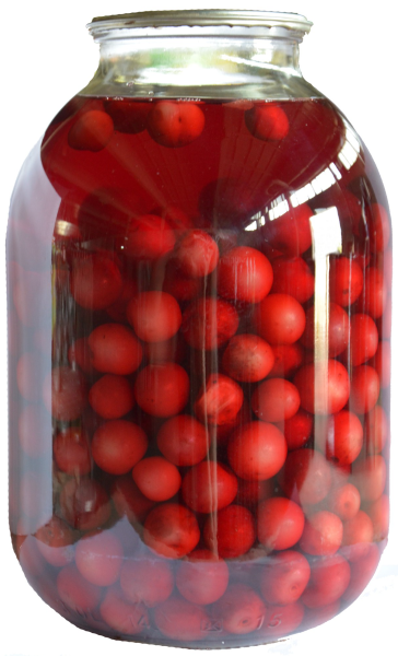 Компот из ранеток