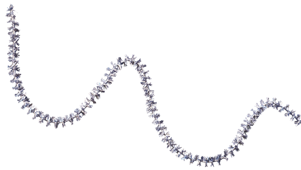 Новогодняя мишура для фотошопа