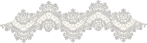 Вологодское кружево на прозрачном фоне