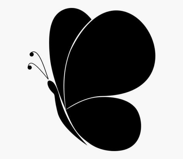 Бабочка вектор