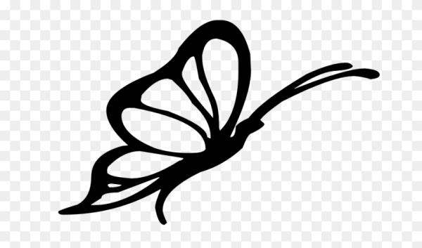 Бабочка вектор контур