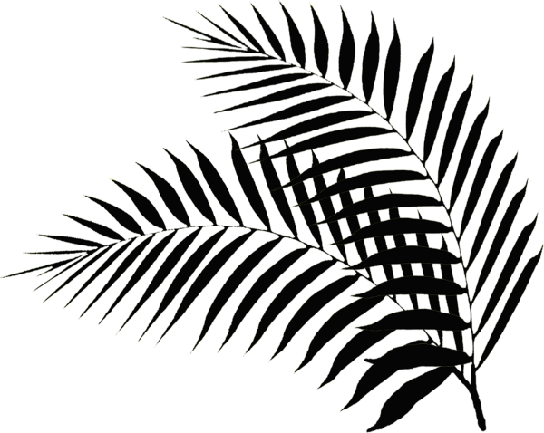 Пальмовая ветвь 2020