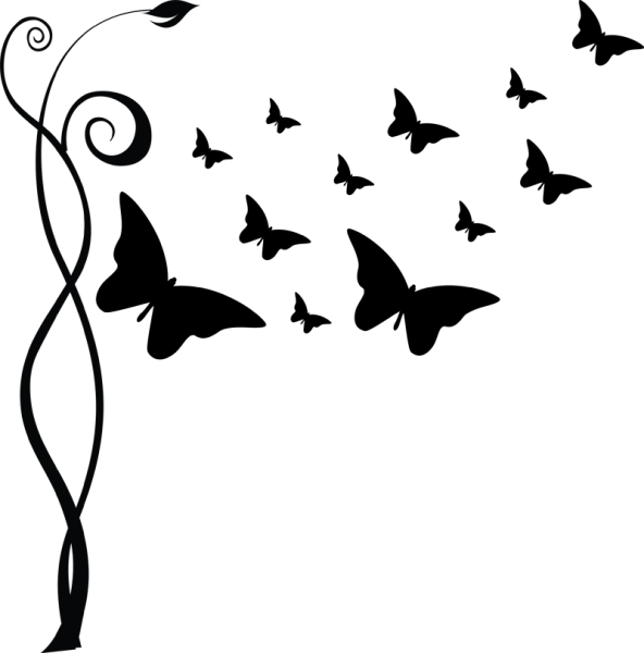 Бабочка черно белая