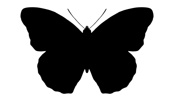 Очертание бабочки