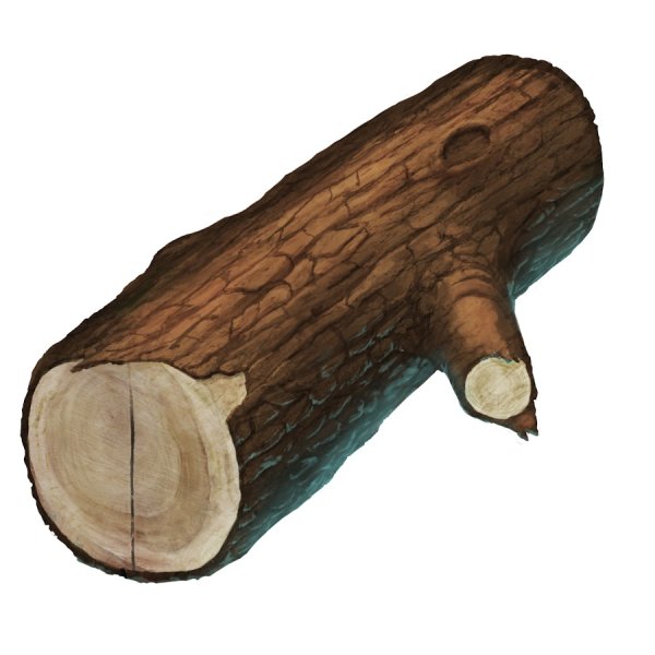 Деревянное полено