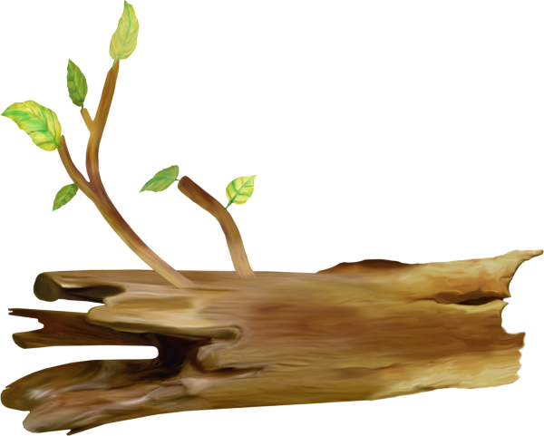 Ветка дерева мультяшная