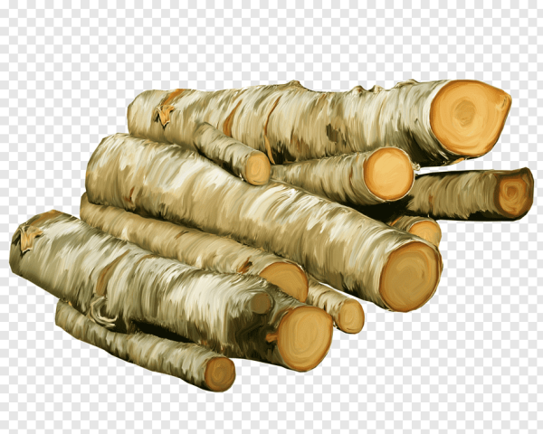 Полено вектор