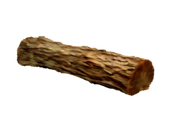 Дерево полено