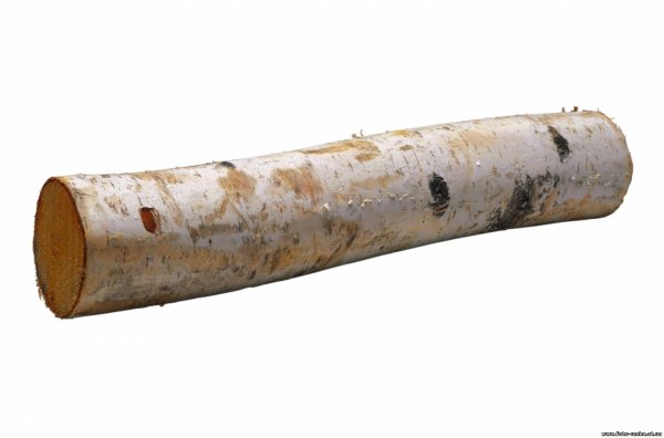 Березовое бревно