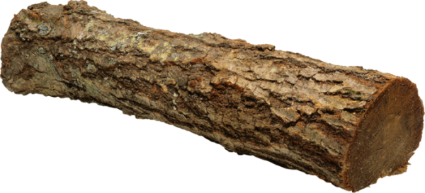 Кусок бревна