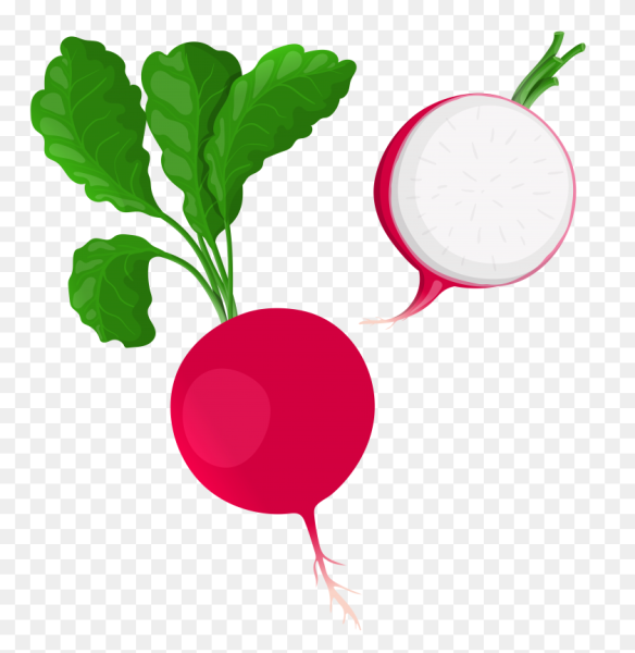 Редиска мультяшная