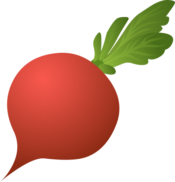 Редиска для детей