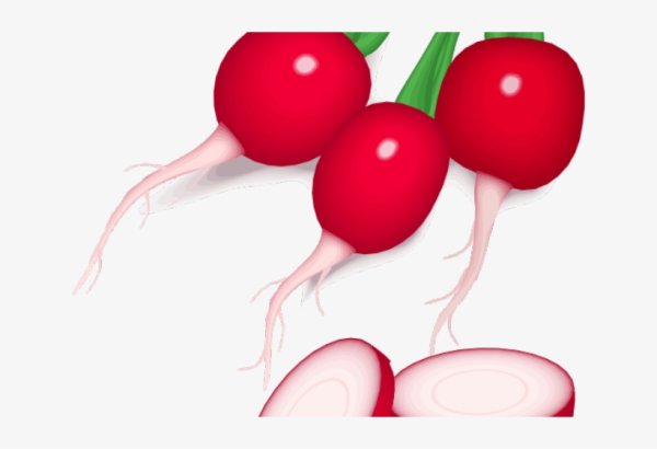 Редис картина