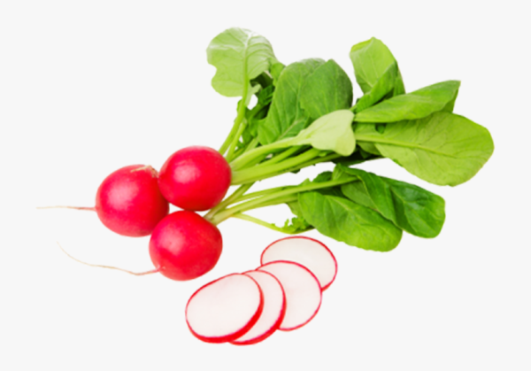 Капуста редис на белом фоне