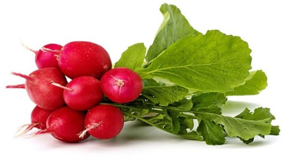 Редис на прозрачном фоне