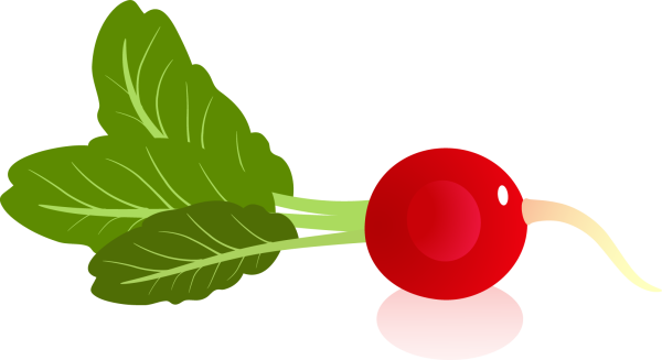 Редис вектор