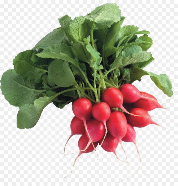 Овощи редиска