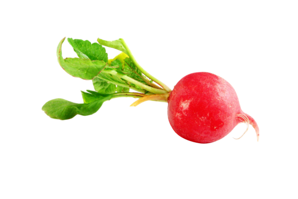 Редис f1 Валери