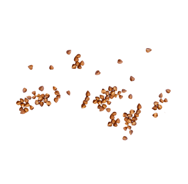 Гречка сыпется